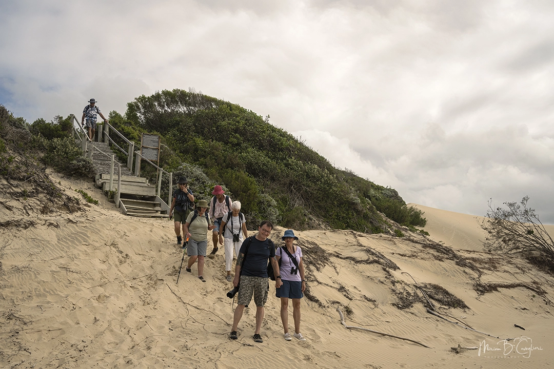 Eco Estate to the Beach