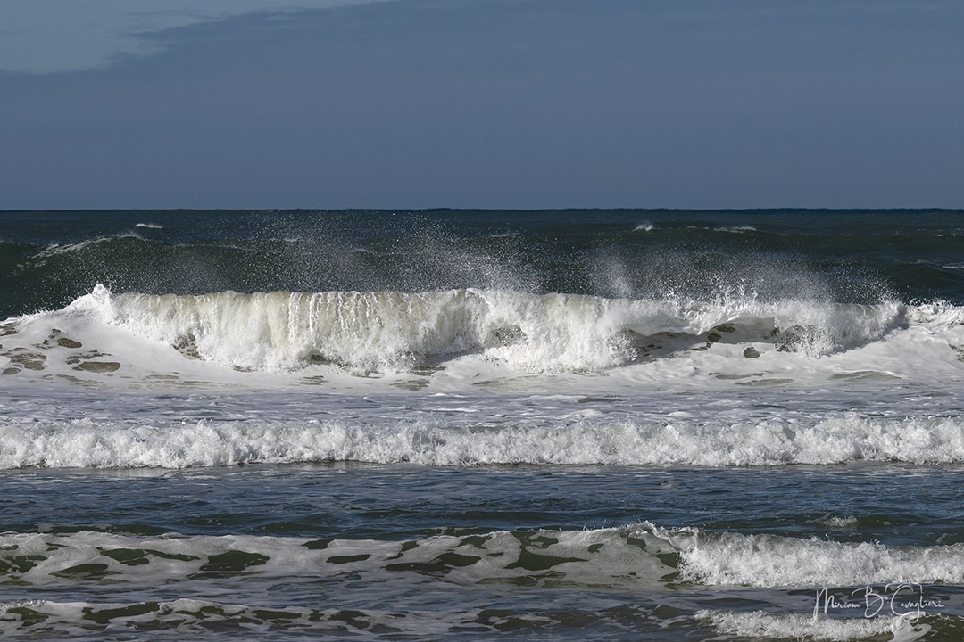 Eco Estate to the Beach