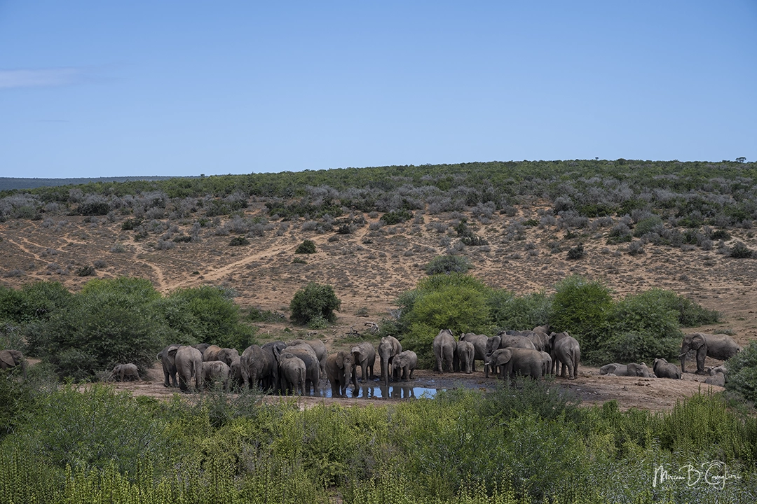 A refresh at the pond