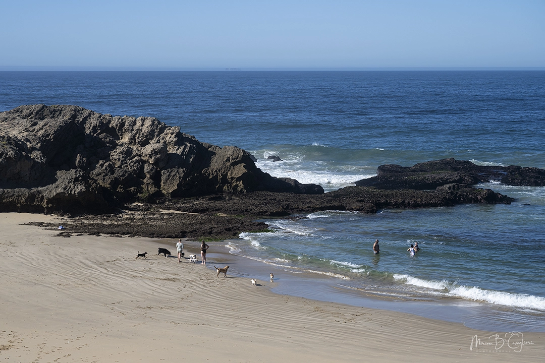 Walk on Kenton beaches