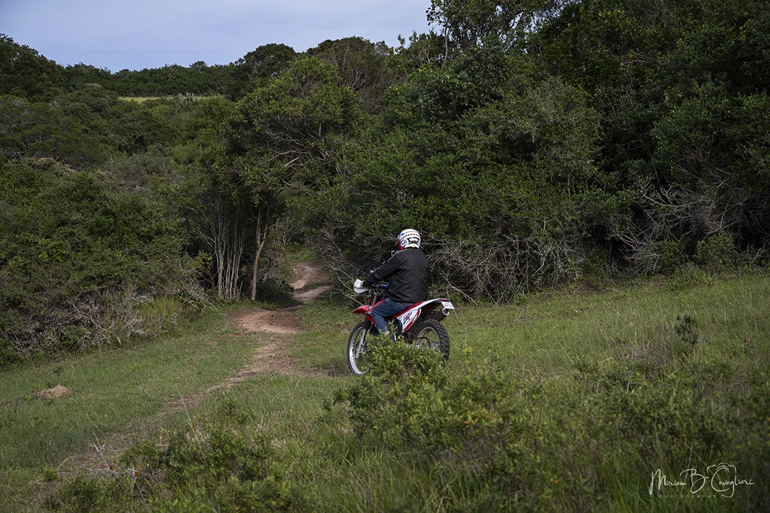 Mervyn's Trail