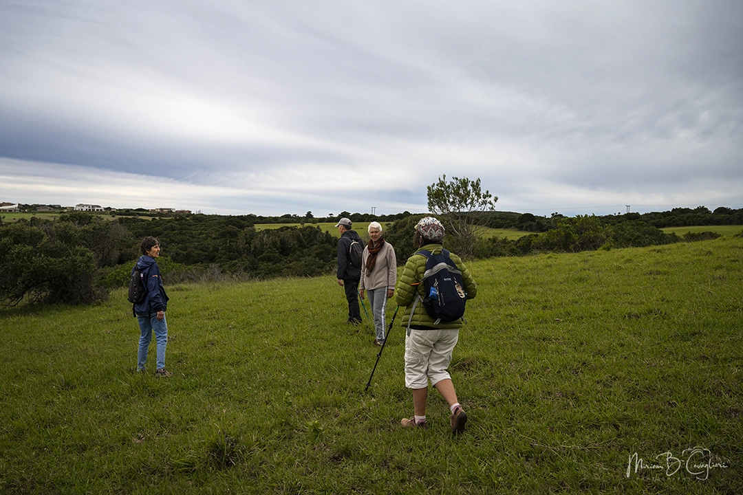 Mervyn's Trail