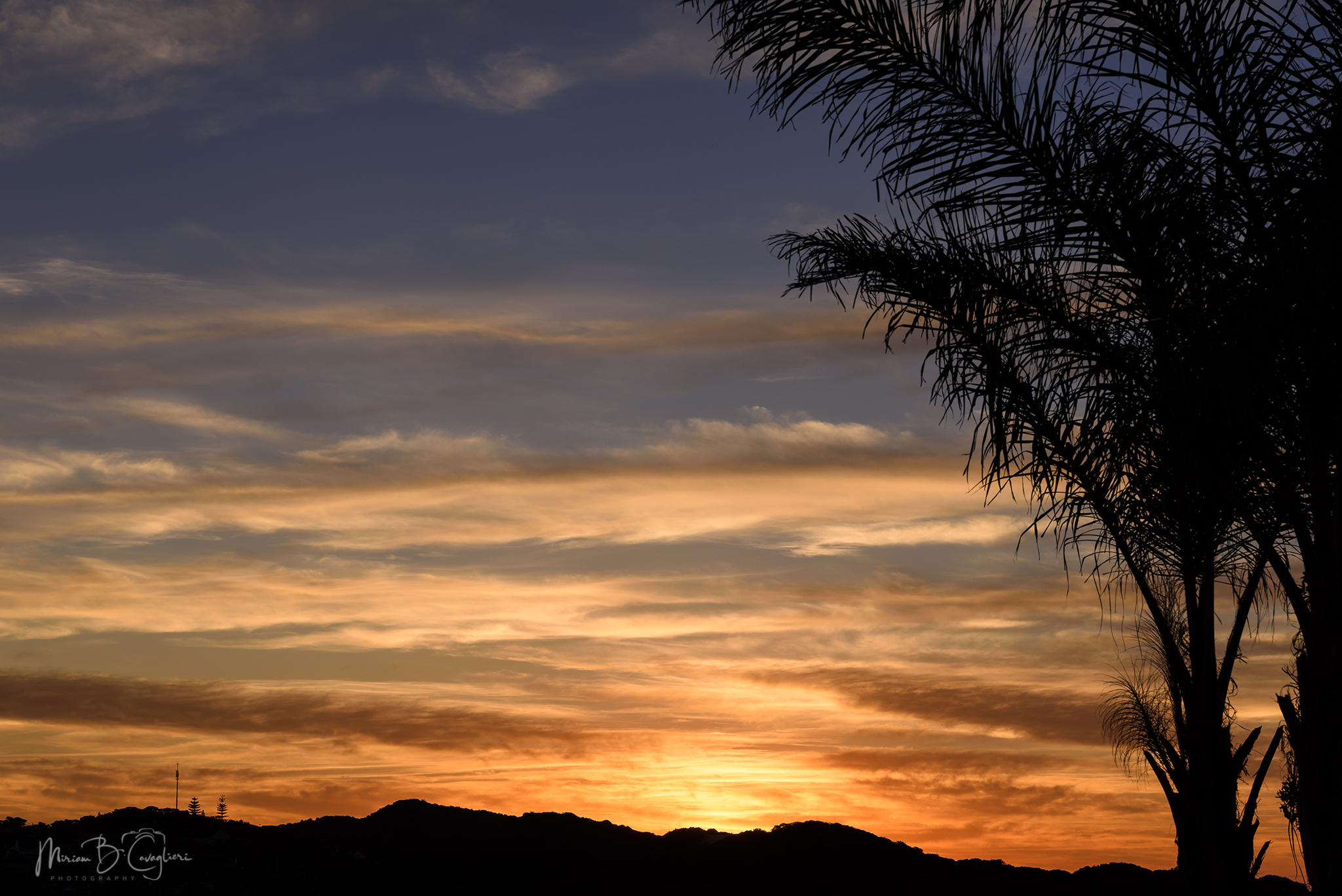 Sunrises and/or sunsets