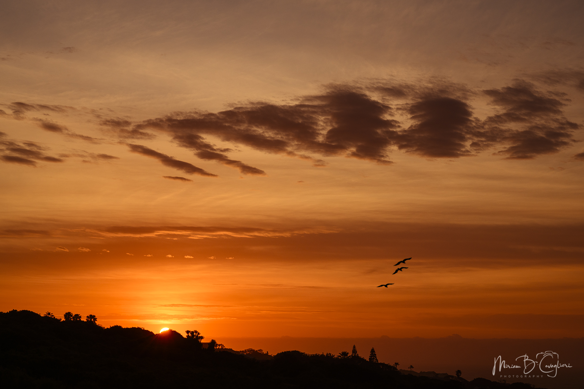 Sunrises and/or sunsets