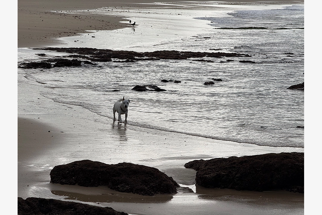 Riet River to Seal Rock