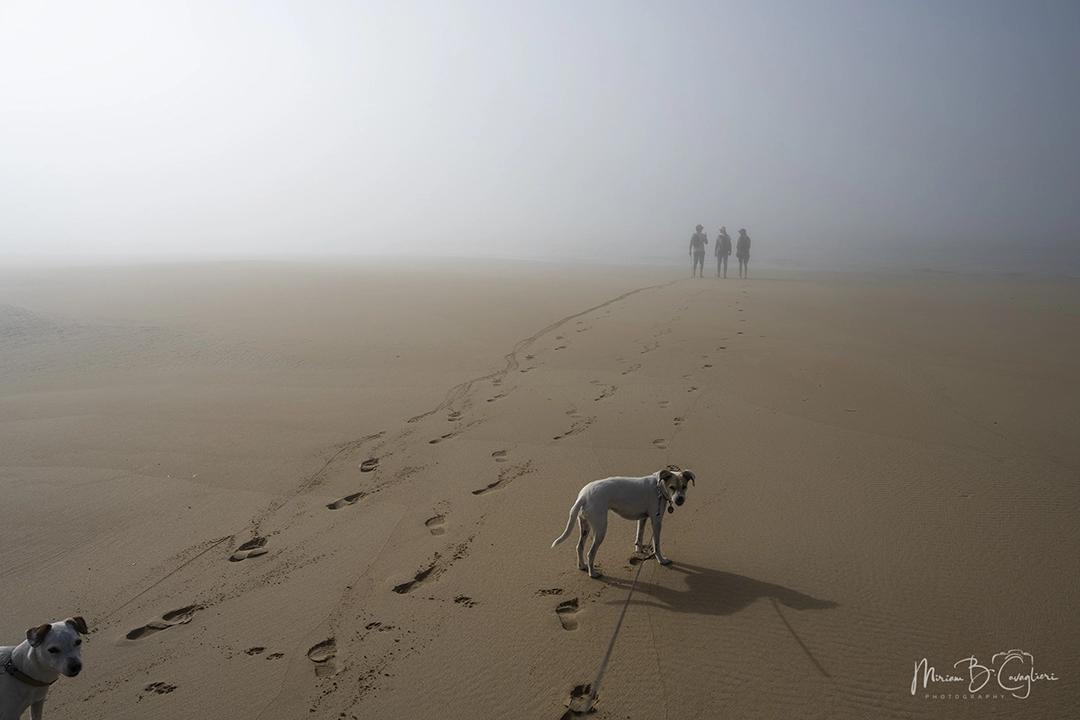 Riet River to Seal Rock
