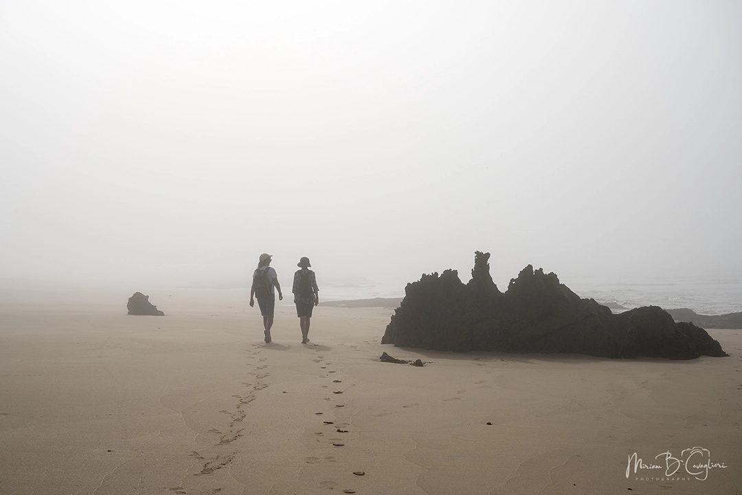 Riet River to Seal Rock