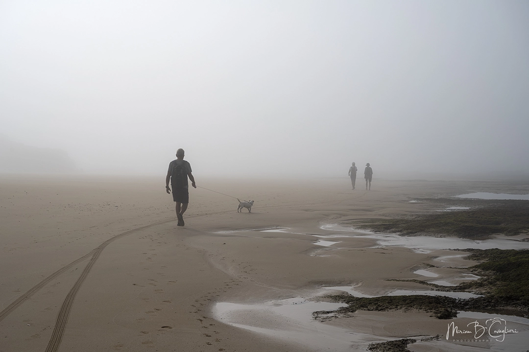 Riet River to Seal Rock