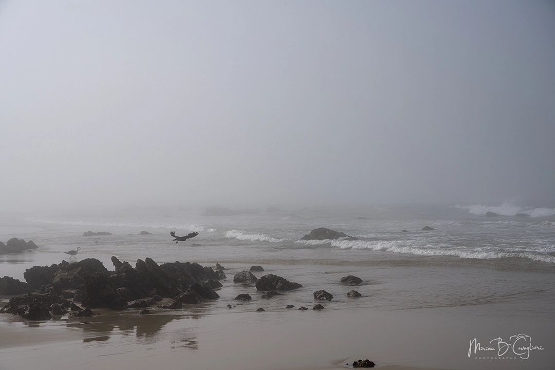 Riet River to Seal Rock