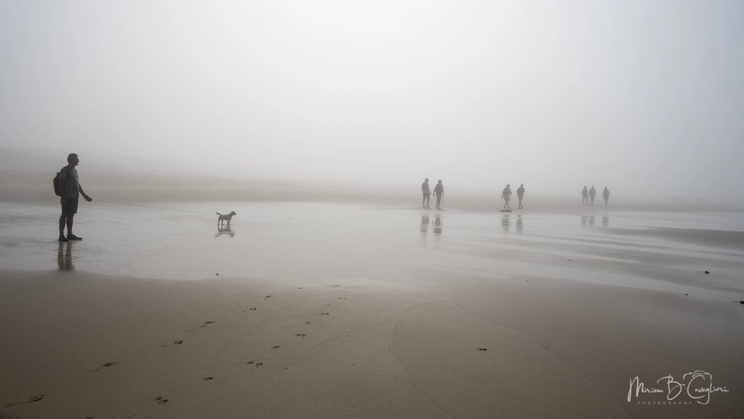 Riet River to Seal Rock