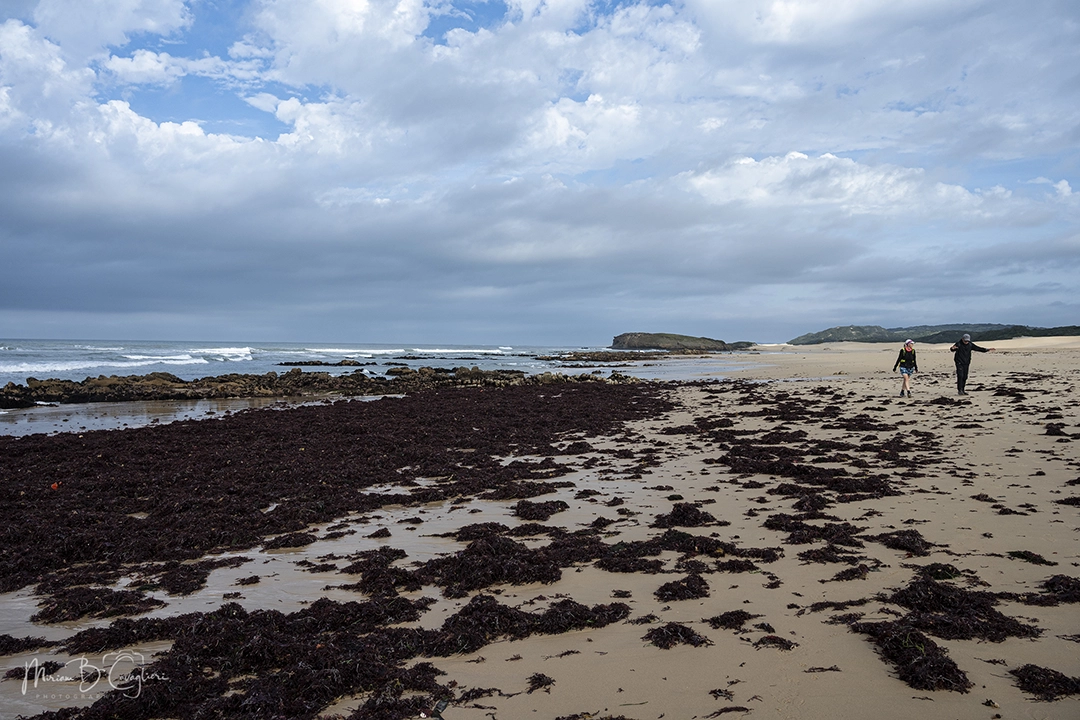Riet River to Seal Rock