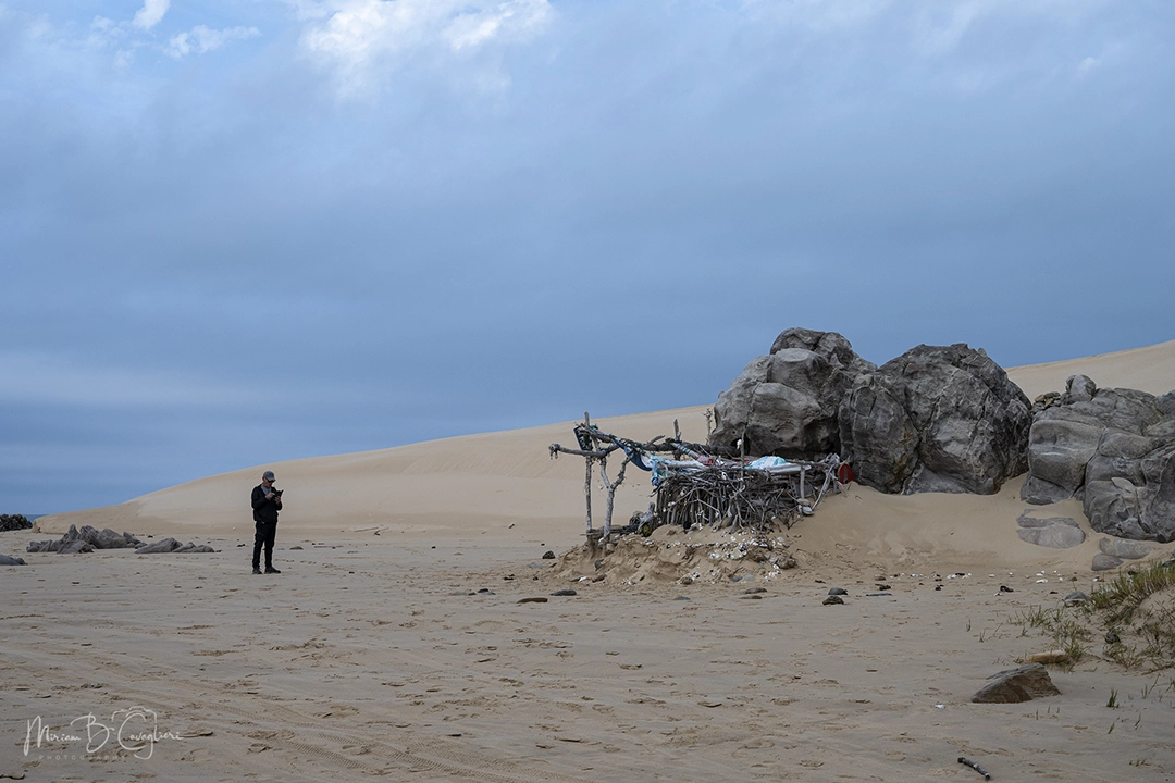 Riet River to Seal Rock