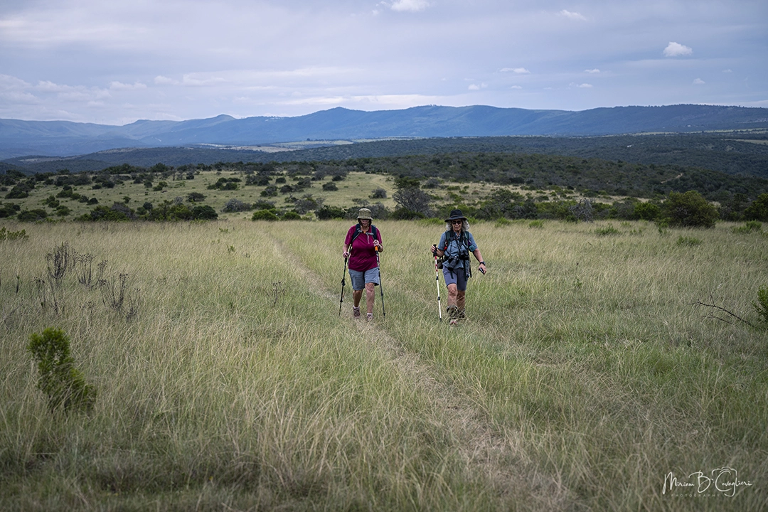 Three Valleys Nature Reserve
